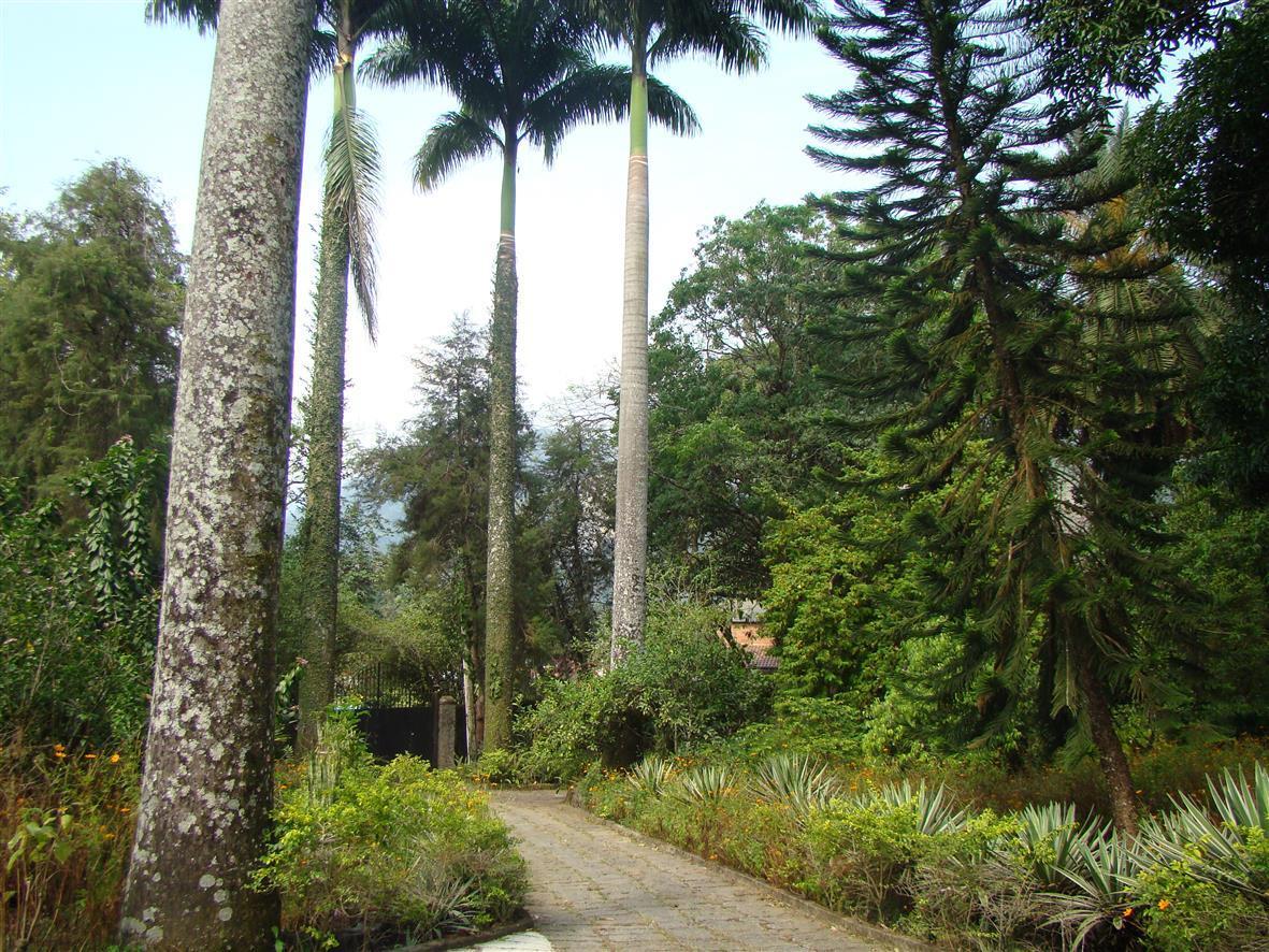 Casa De Campo Dos Sonhos Cachoeiras de Macacu Bagian luar foto